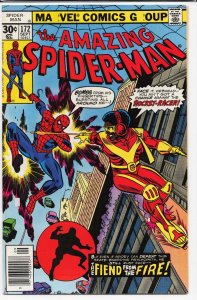 The Amazing Spider-Man #172 (1977) Spider-Man [Key Issue]