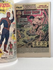 Tarzan Lord Of The Jungle #20