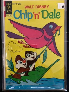 Chip 'n' Dale #24 (1973)