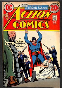 Action Comics #423 (1973)