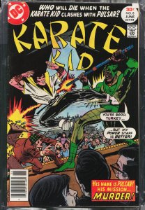 Karate Kid #8 (1977) Karate Kid