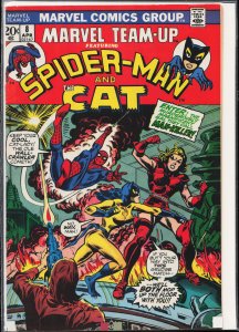 Marvel Team-Up #8 (1973) The Cat
