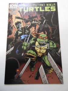 Teenage Mutant Ninja Turtles #22 Cover B (2013) NM- Condition