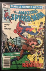 The Amazing Spider-Man #221 (1981)