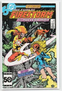 The Fury of Firestorm #41 (1985) Firestorm