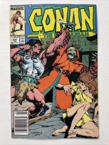 Conan The Barbarian 203   Newsstand Edition