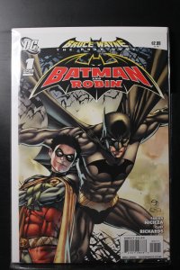 Bruce Wayne: The Road Home: Batman and Robin (2010)