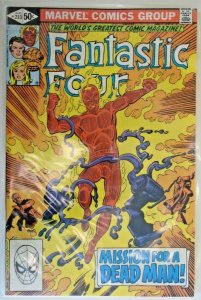 *Fantastic Four #221-233 (14 books) with FREE Shipping!