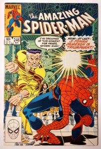 The Amazing Spider-Man #246 (8.0, 1983) 