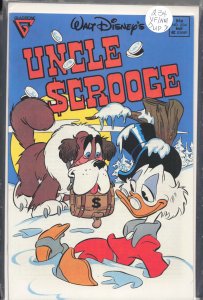 Uncle Scrooge #234 (1989)