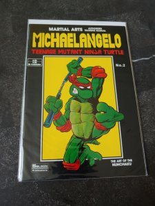 Teenage Mutant Ninja Turtles Teach Karate #2