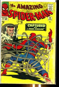 Amazing Spider-Man #25