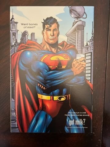 The Flash Annual #13 (2000) - NM