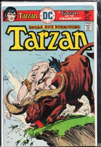 Edgar Rice Burroughs' Tarzan #248 (1976)