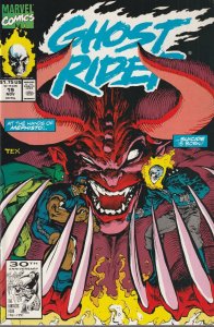 Ghost Rider Vol 2 # 19 Cover A VF/NM Marvel 1991 [V5]