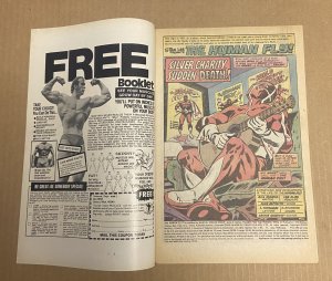 Human Fly #11  ( 9.0 VFN/NM ) Robbins/Chan Cover / 1978