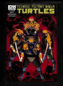 Teenage Mutant Ninja Turtles (2011) #26 Anka Variant 1:10 Retailer Incentive