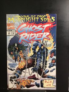 Ghost Rider #31 Rise of the Midnight Sons 6 of 6 | Near Mint | Marvel 1992