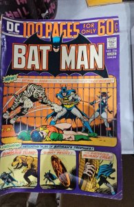 Batman #256 (1974)
