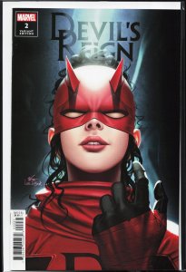 Devil's Reign #2 Lee Cover (2022)