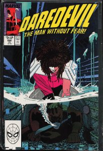 Daredevil #256 (1988) Daredevil