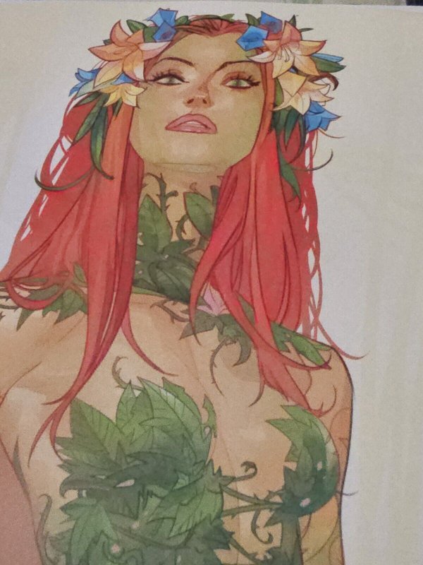Poison Ivy Lovely Otto Schmidt Variant Issue 16 No Feet New Read Better Comics