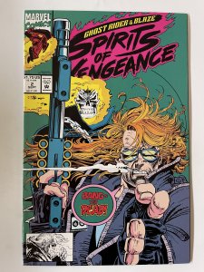 Ghost Rider/Blaze: Spirits of Vengeance #2 - NM+  (1992)