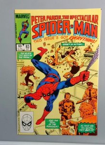 Spectacular Spider-Man #83, VF+ Punisher Comic Book, Marvel, 1983 JR1