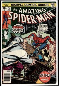 The Amazing Spider-Man #163 (1976) Spider-Man
