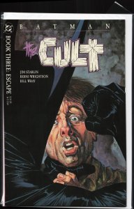 Batman: The Cult #3 (1988) Batman