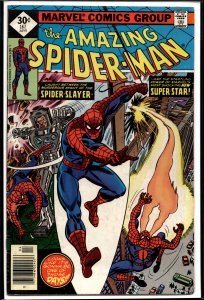 The Amazing Spider-Man #167 (1977) Spider-Man