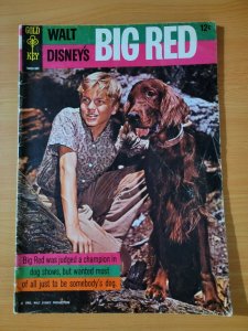 Walt Disney's Big Red #1 One-Shot ~ FINE FN ~ 1962 Gold Key Comics