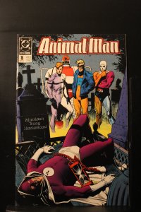 Animal Man #16 (1989)