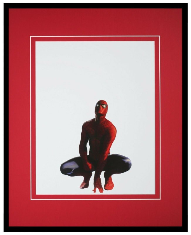 Spider-Man Framed 16x20 Alex Ross Official Marvel Poster Display Avengers