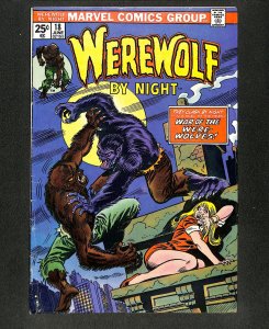 Werewolf By Night #18  Murder By Moonlight! Werewolves War! Ron Wilson!
