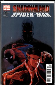 Shadowland: Spider-Man (2010) Spider-Man