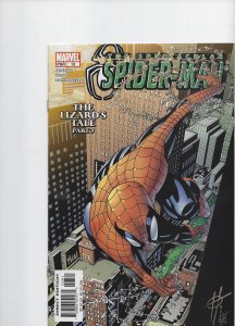 Spectacular Spider-Man #13  (2004)