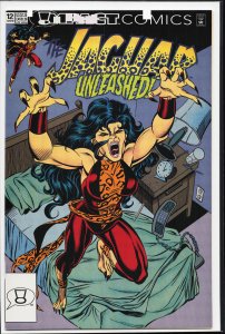 The Jaguar #12 (1992) Jaguar
