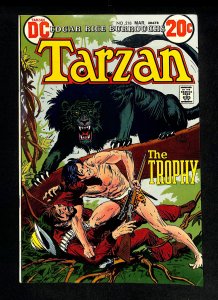 Tarzan (1972) #218