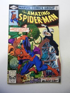 The Amazing Spider-Man #204 (1980) VG/FN Condition