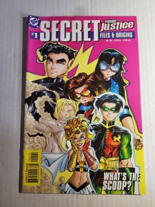 Young Justice Secret Files (1999)