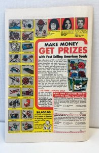 Ghost Rider #18 (1976)