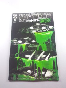Teenage Mutant Ninja Turtles: Black, White & Green #3 (2024) - NM