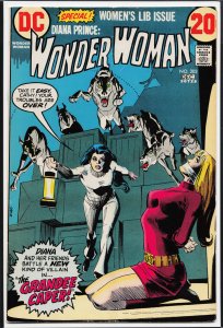 Wonder Woman #203 (1972) Wonder Woman