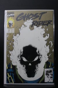 Ghost Rider #15 (1991)