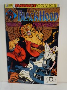 The Black Hood #3