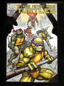 Teenage Mutant Ninja Turtles (2011) #24 Williams II Variant