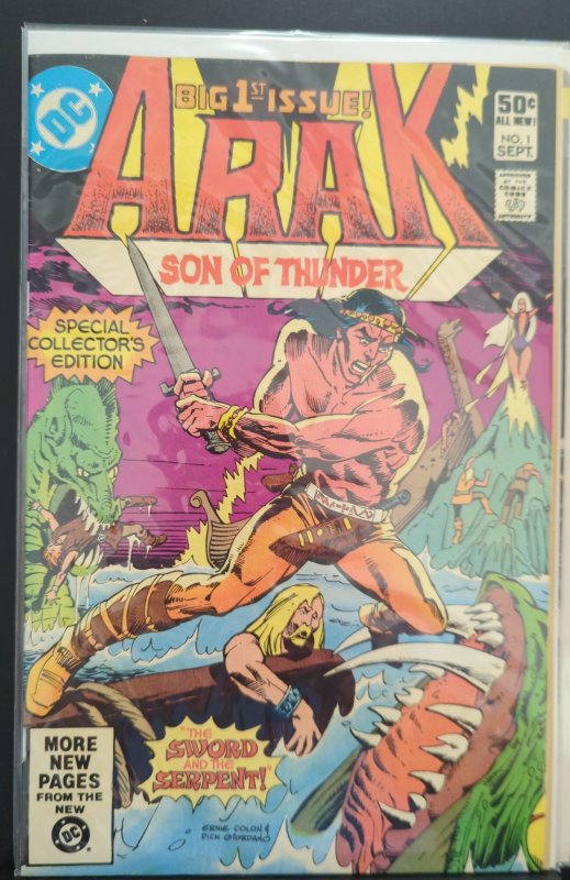 Arak, Son of Thunder #1 (1981)