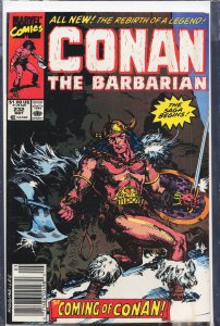 Conan the Barbarian #232 (1990) Conan