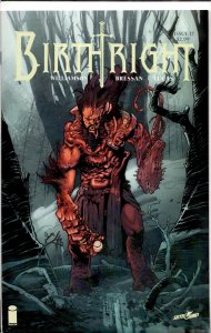Birthright #17 (2016)